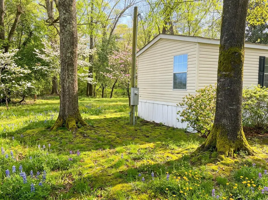 169 Gibbs Loop, Summerville, SC 29483 - #2