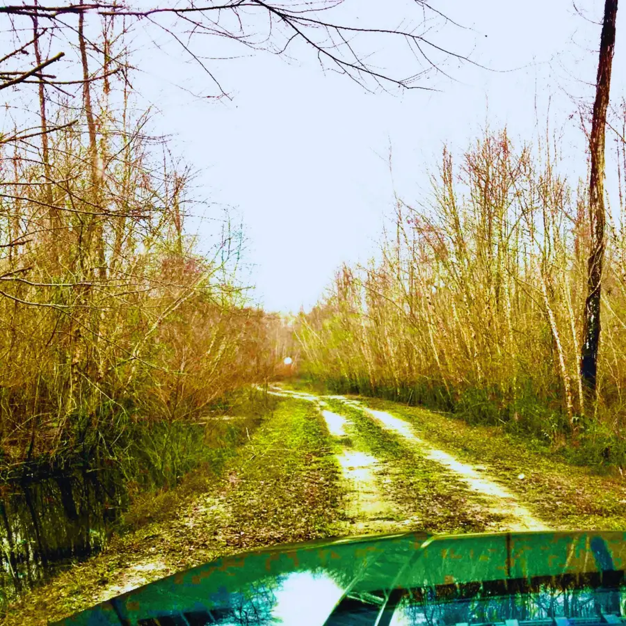 1041 Edisto River Road Road, Reevesville, SC 29471 - #2