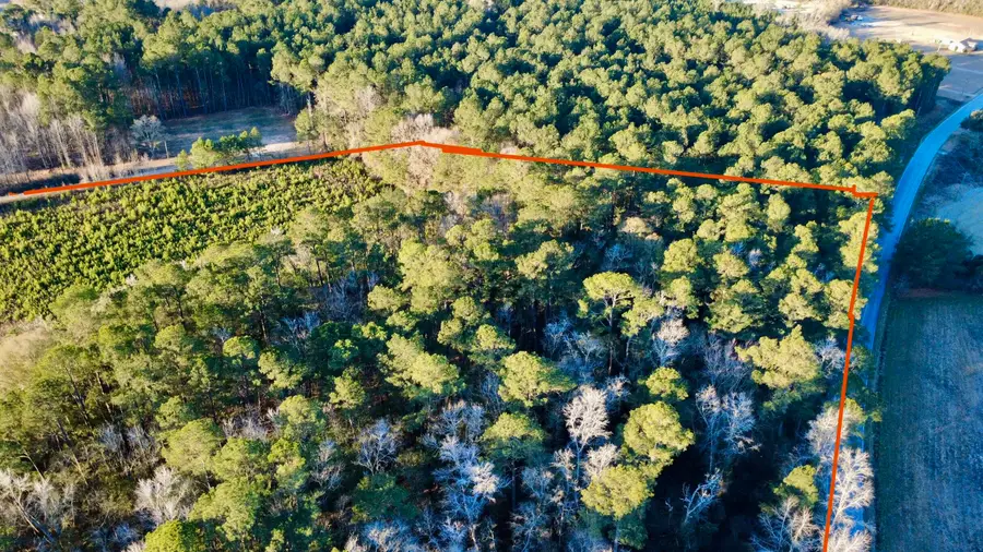 1 Dantzler Road, Harleyville, SC 29448 - #3