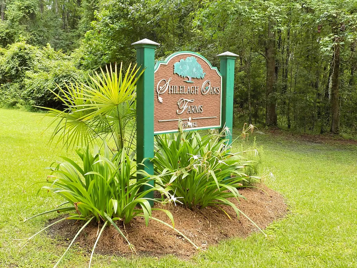 6370 Shilelagh Oaks Parkway, Ravenel, SC 29470 - #1