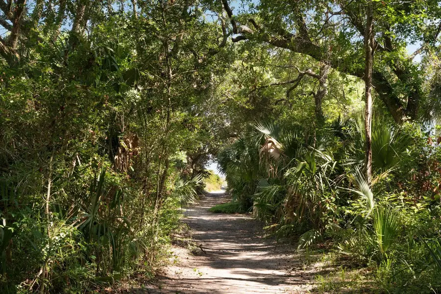 14 55th Avenue, Isle Of Palms, SC 29451 - #3