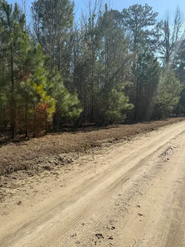 0 Topeka Lane, Holly Hill, SC 29059