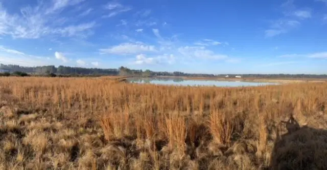 765 Percy Lane, Ridgeville, SC 29472 - #1