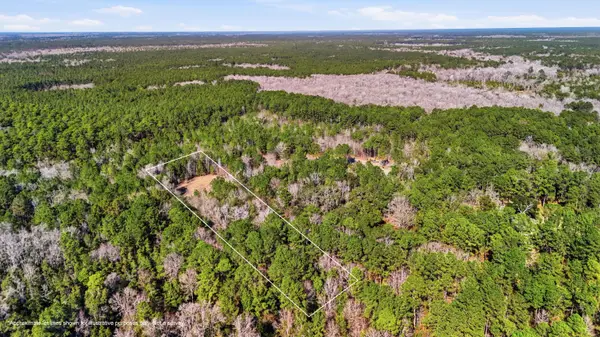 0 Gertie Lane, Cordesville, SC 29434