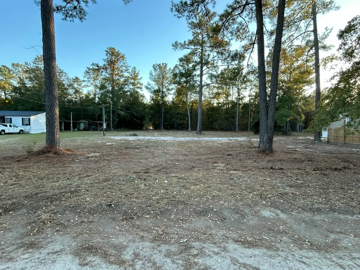 203 Podium Road, Cordova, SC 29039 - #1