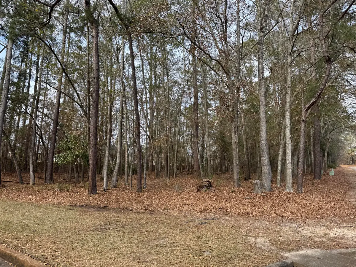 004 Fern Drive, Orangeburg, SC 29115 - #1