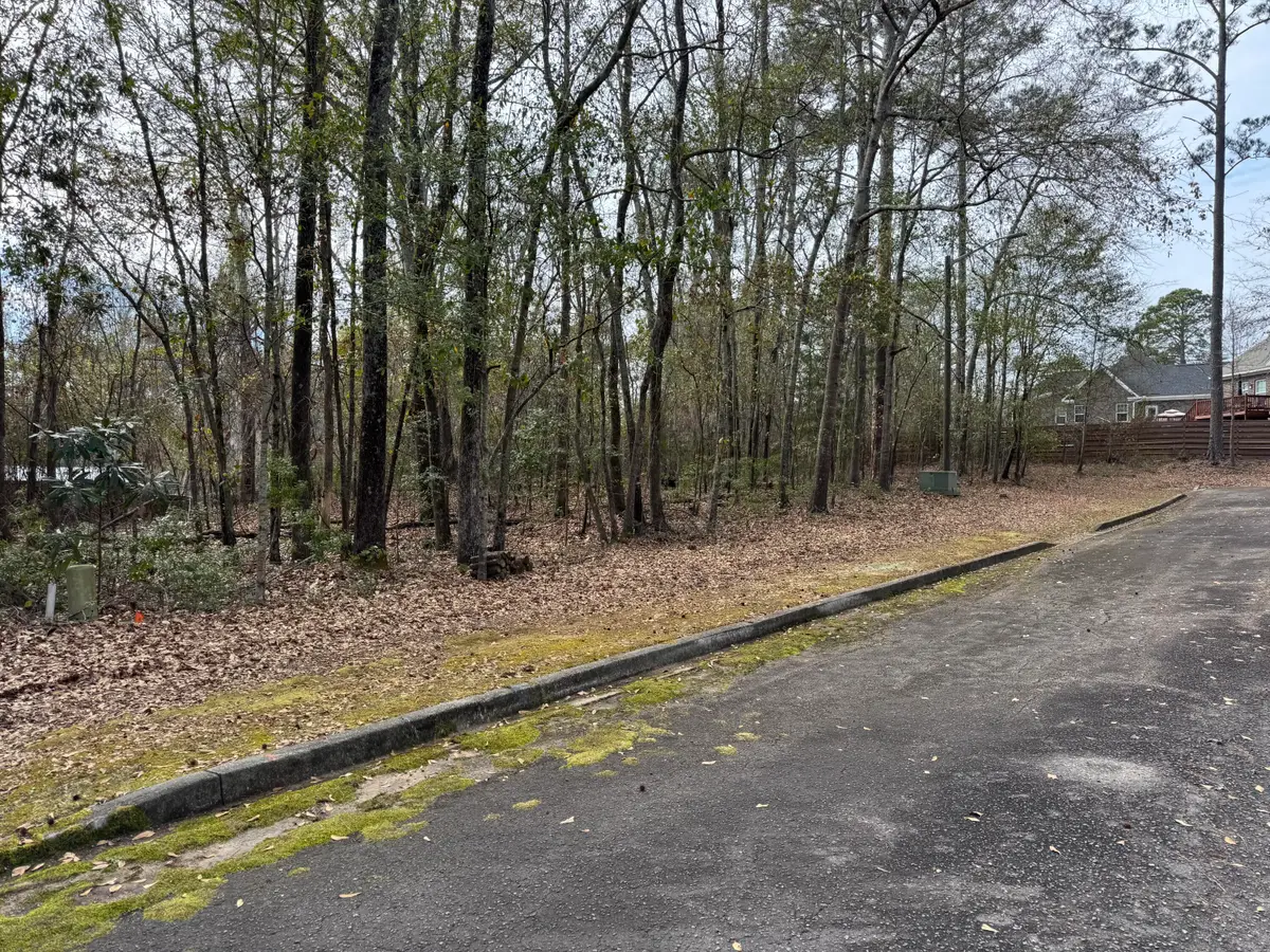 008 Fern Drive, Orangeburg, SC 29115 - #1