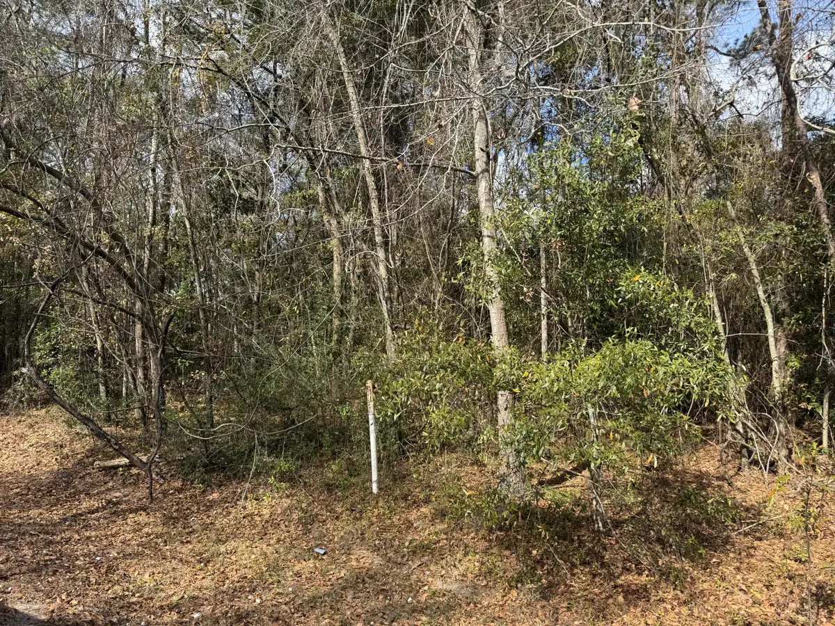 0 Robertson Boulevard, Walterboro, SC 29488 - #1