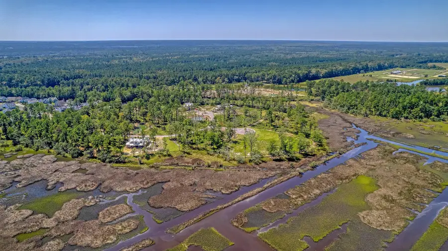 110 Peninsula Drive, Ravenel, SC 29470 - #2