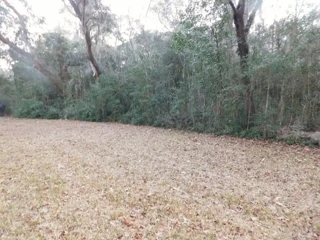 Lot 4 Edisto Oak Lane, Edisto Island, SC 29438 - #2
