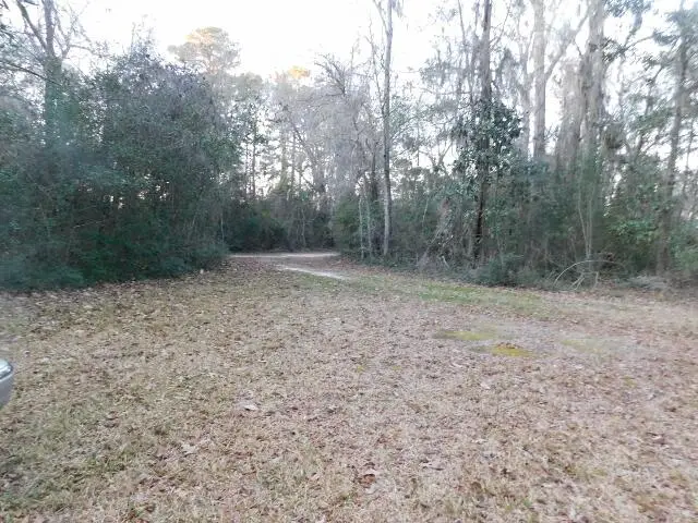 Lot 4 Edisto Oak Lane, Edisto Island, SC 29438 - #3