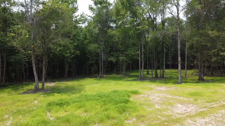 777 Crystal Lake Trail, Huger, SC 29450 - #3