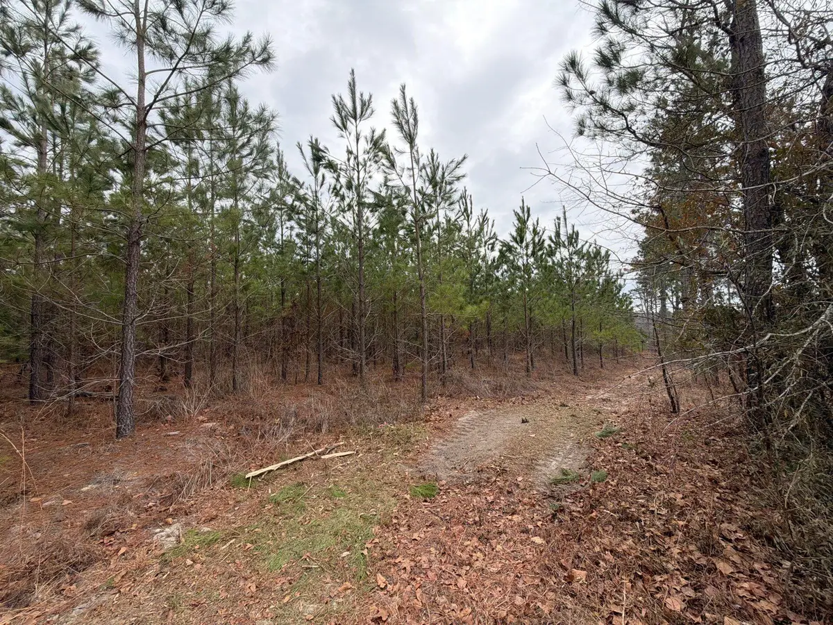 Bff Ii 3 J C Barefoot Road, Patrick, SC 29584 - #1