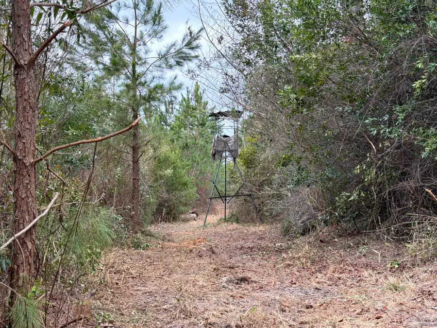 Bff Ii 3 J C Barefoot Road, Patrick, SC 29584 - #2