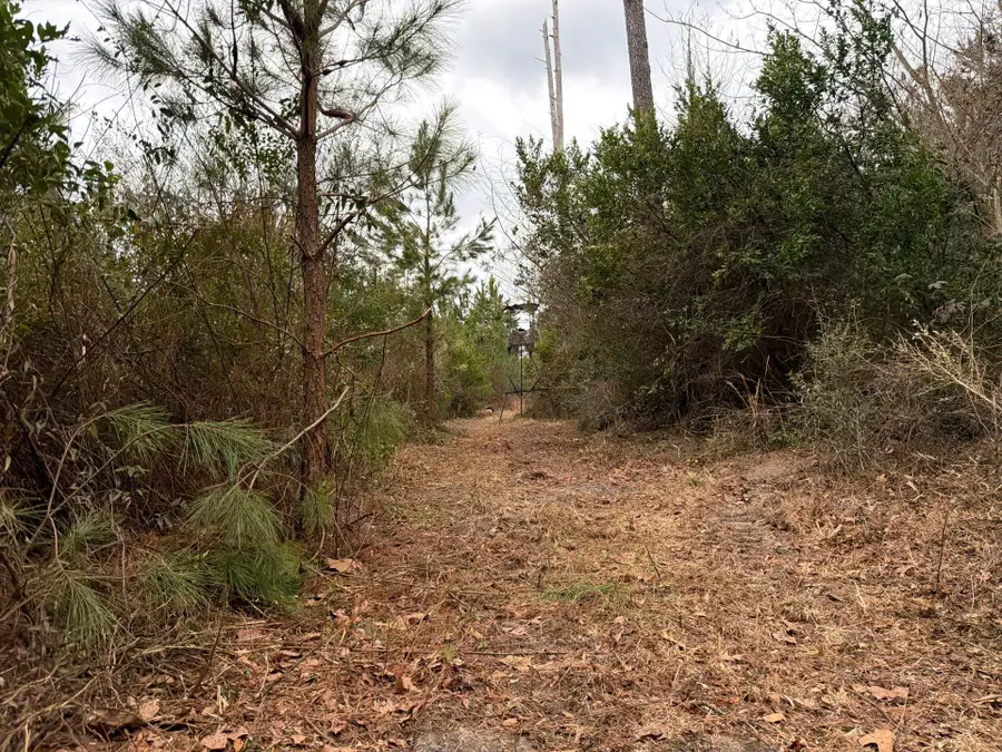 Bff Ii 3 J C Barefoot Road, Patrick, SC 29584 - #3