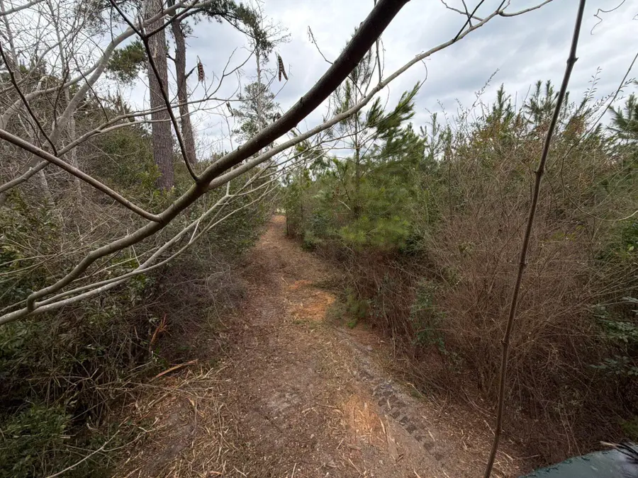 Bff Ii 4 J C Barefoot Road, Patrick, SC 29584 - #2