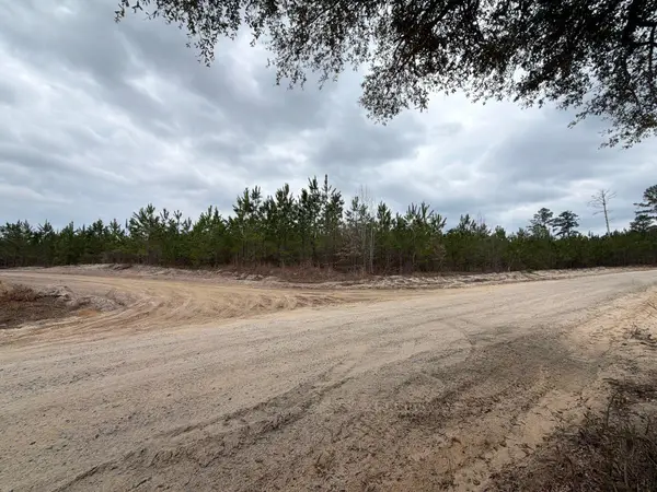 Bff Ii 5 Brunson Teal Rd Road, Patrick, SC 29584