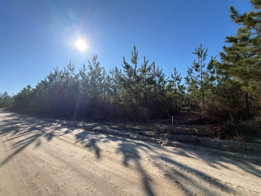 Bff Ii 8 Brunson Teal Rd Road, Patrick, SC 29584 - #2