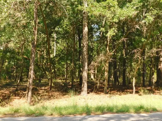 8662 Palmetto Road, Edisto Island, SC 29438 - #2