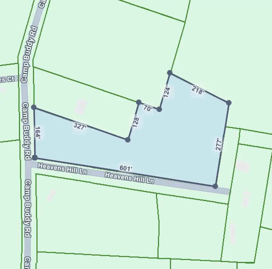 00 Camp Buddy Road, Ridgeville, SC 29472 - #2