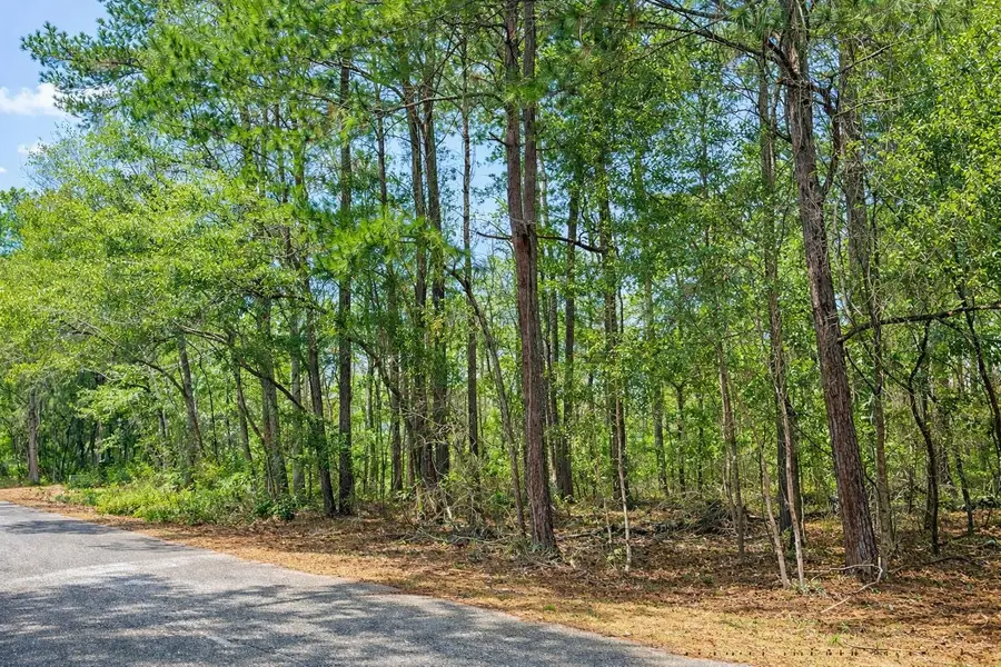 890 Flowers Lane, Edisto Island, SC 29438 - #2