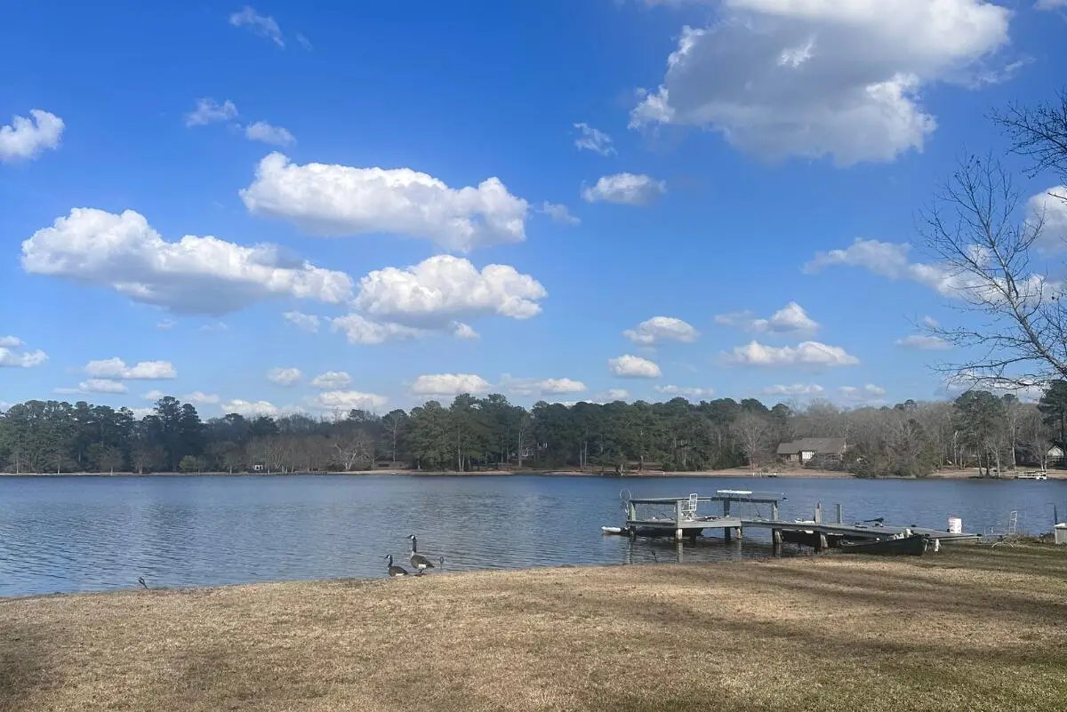 2951 Waverly Drive, Sumter, SC 29150 - #1