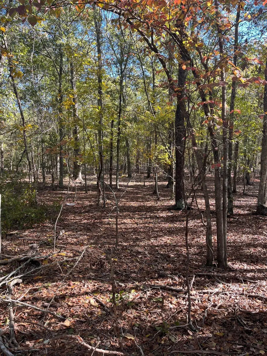 Bhl 7 Boise Cascade #Bhl 7, Bethune, SC 29009 - #3