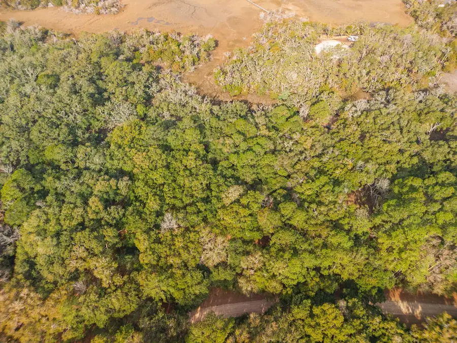8462 Saint Pierre Creek Drive, Edisto Island, SC 29438 - #2