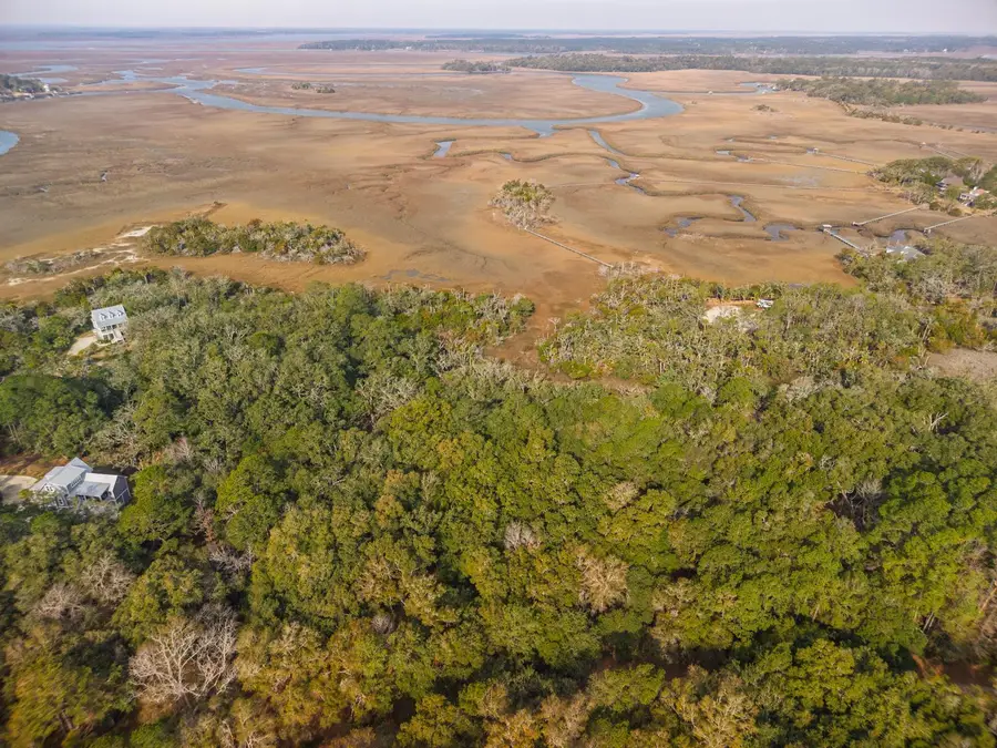 8462 Saint Pierre Creek Drive, Edisto Island, SC 29438 - #3