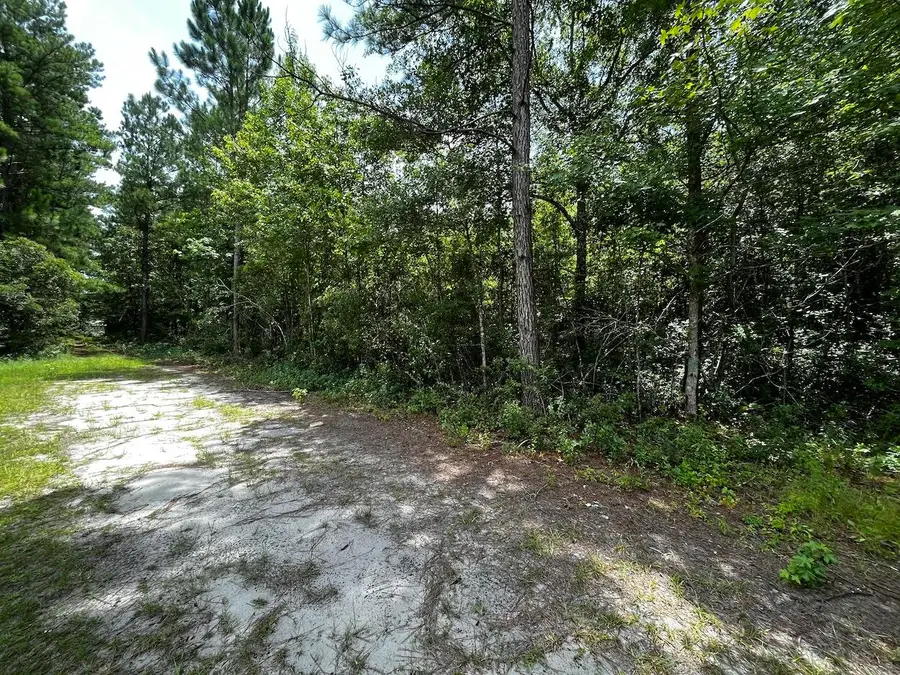 0 Austin Drive, Walterboro, SC 29488 - #2