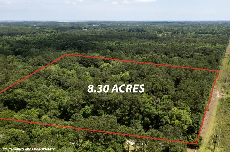 2495 Edenforest Road, Johns Island, SC 29455 - #3