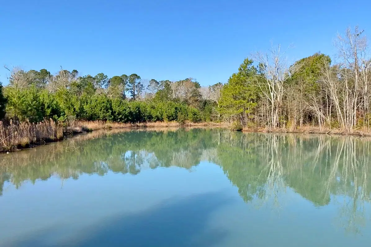 0 Old Pond Road, Johns Island, SC 29455 - #1