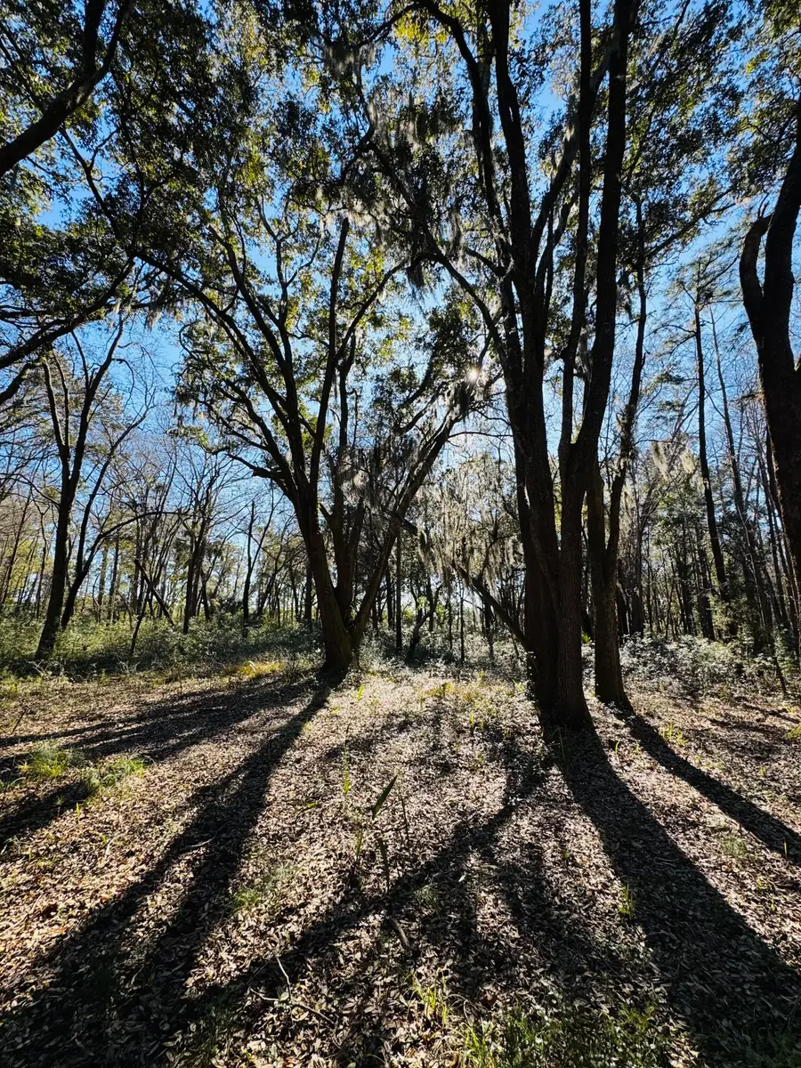 0 Rosa Scott Road, Edisto Island, SC 29438 - #2