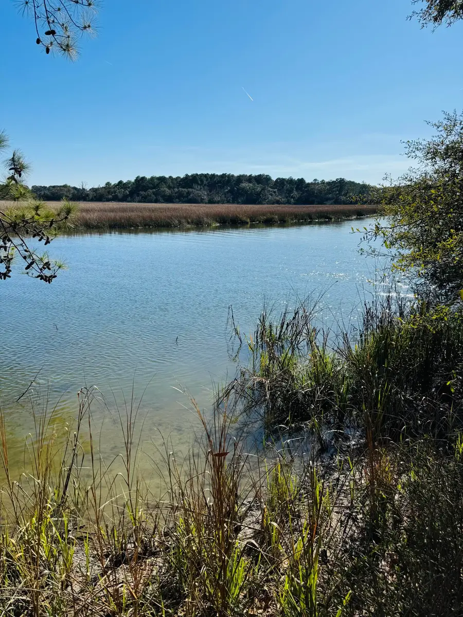 00 Rosa Scott Road, Edisto Island, SC 29438 - #2