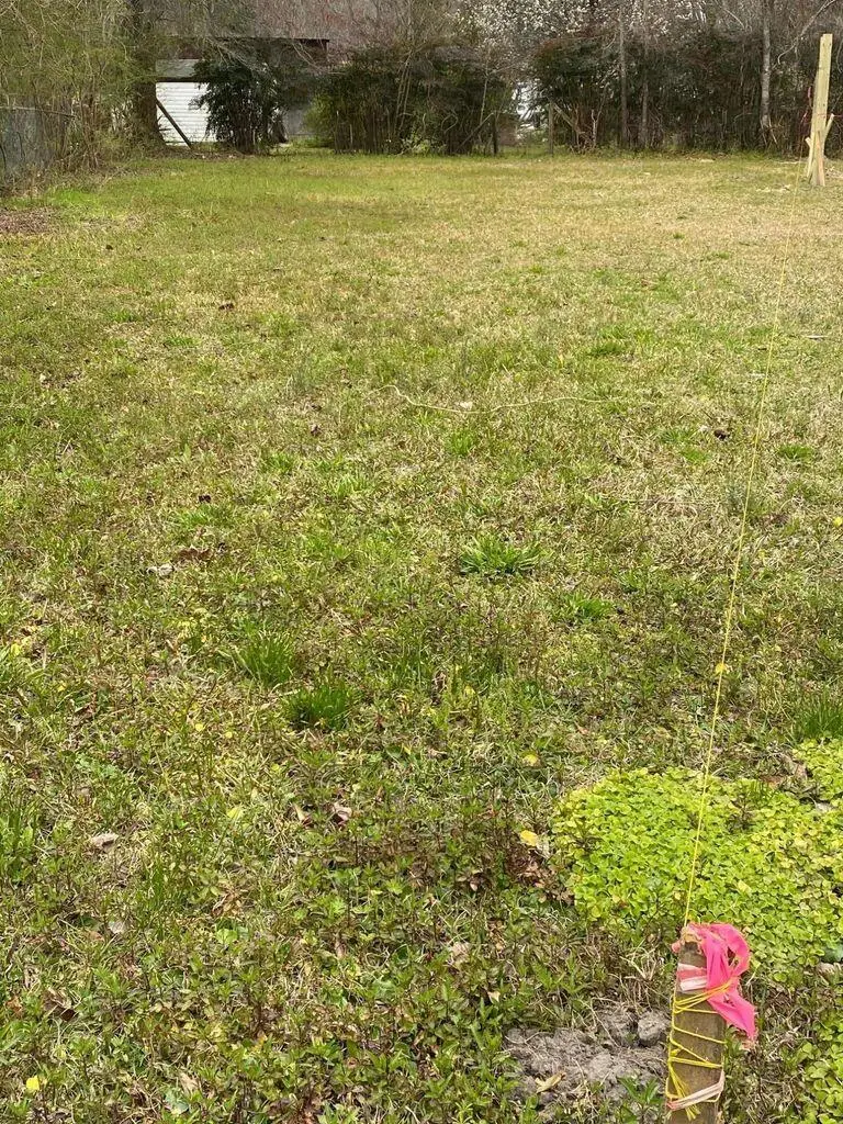 114 Magnolia Street, Bonneau, SC 29431 - #3