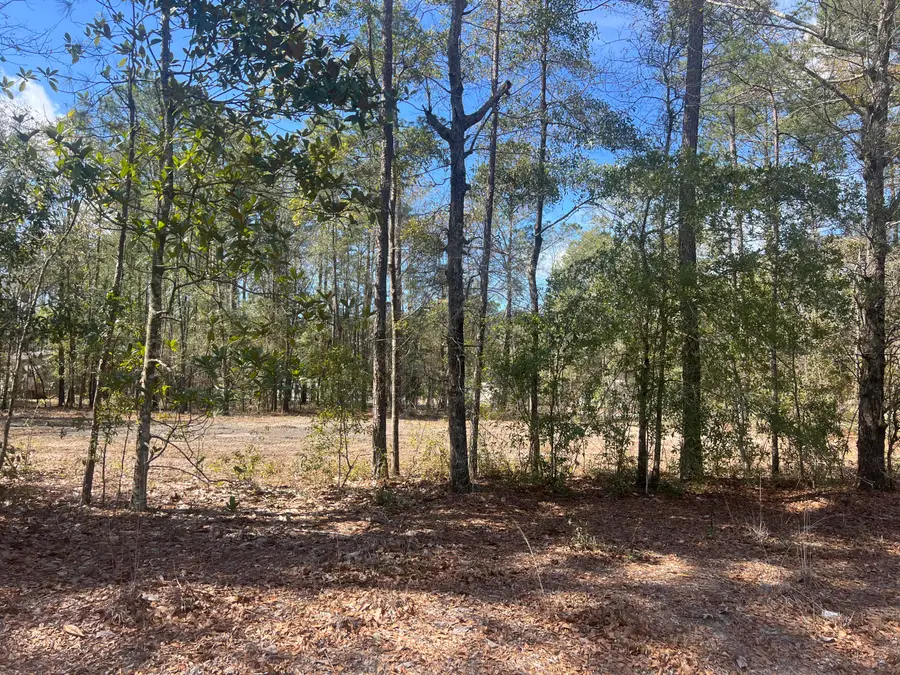 2009 Beach Road, Walterboro, SC 29488 - #2