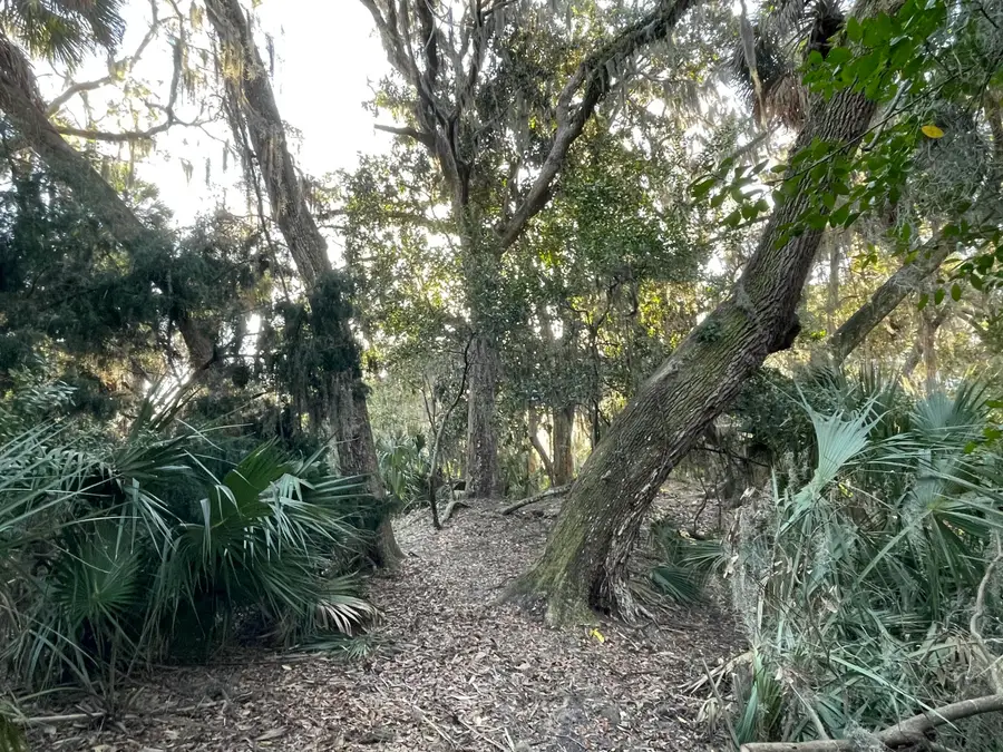 539 Oristo Ridge, Edisto Beach, SC 29438 - #3