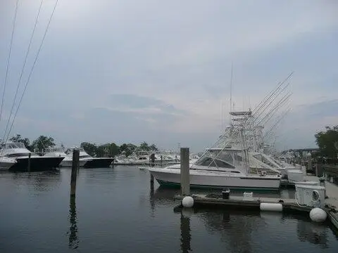 0 Merritt Road #D-4, Charleston, SC 29407 - #1