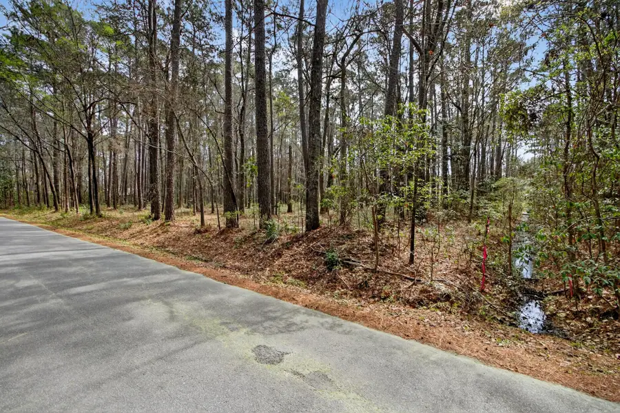 103 Caveson Drive, Summerville, SC 29483 - #2