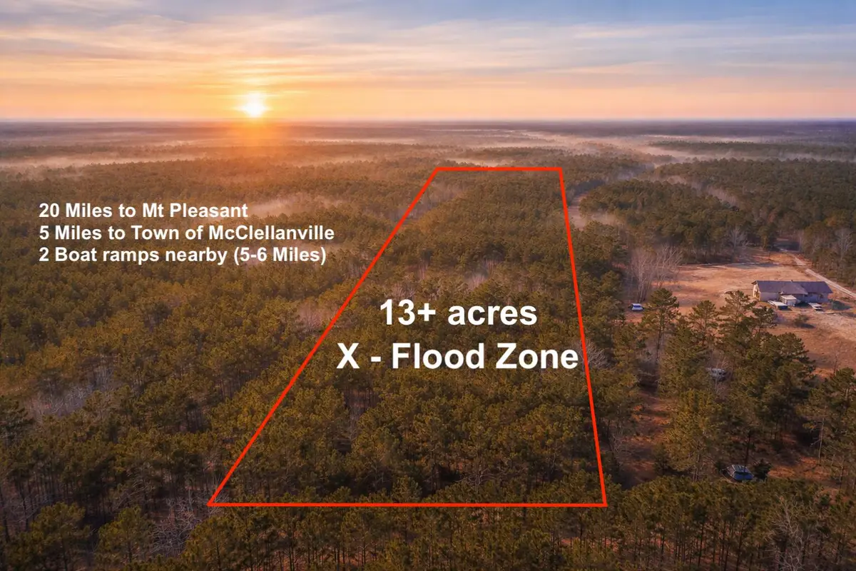 9168 Old Georgetown Road, McClellanville, SC 29458 - #1