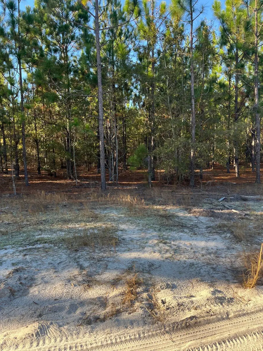 Ppf 14 Payne Pond Road #Ppf 14, Westville, SC 29175 - #3