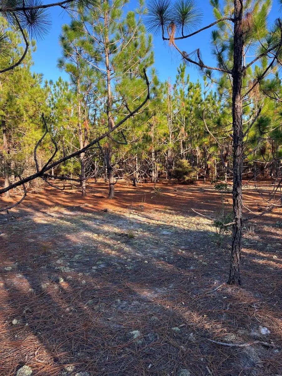 Ppf 17 Payne Pond Road #Ppf 17, Westville, SC 29175 - #2