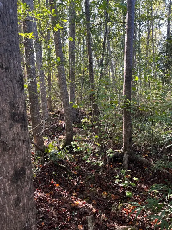 Ppf 18 Payne Pond Road #Ppf 18, Westville, SC 29175