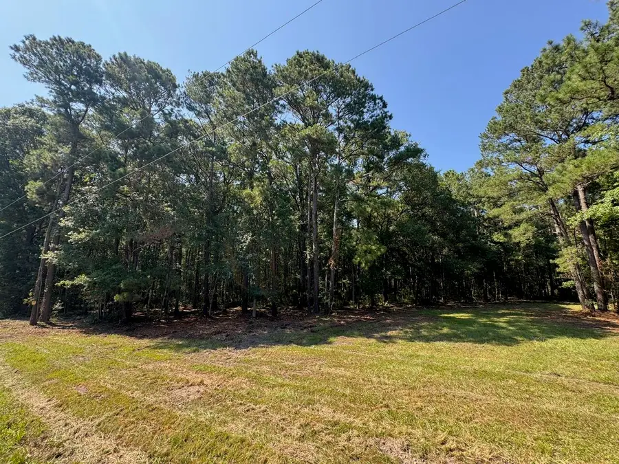 0 Fish Road #1 & 2, Ridgeville, SC 29472 - #2