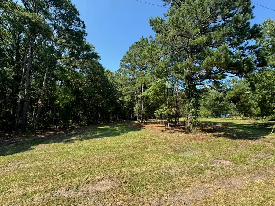 0 Fish Road #1 & 2, Ridgeville, SC 29472 - #3