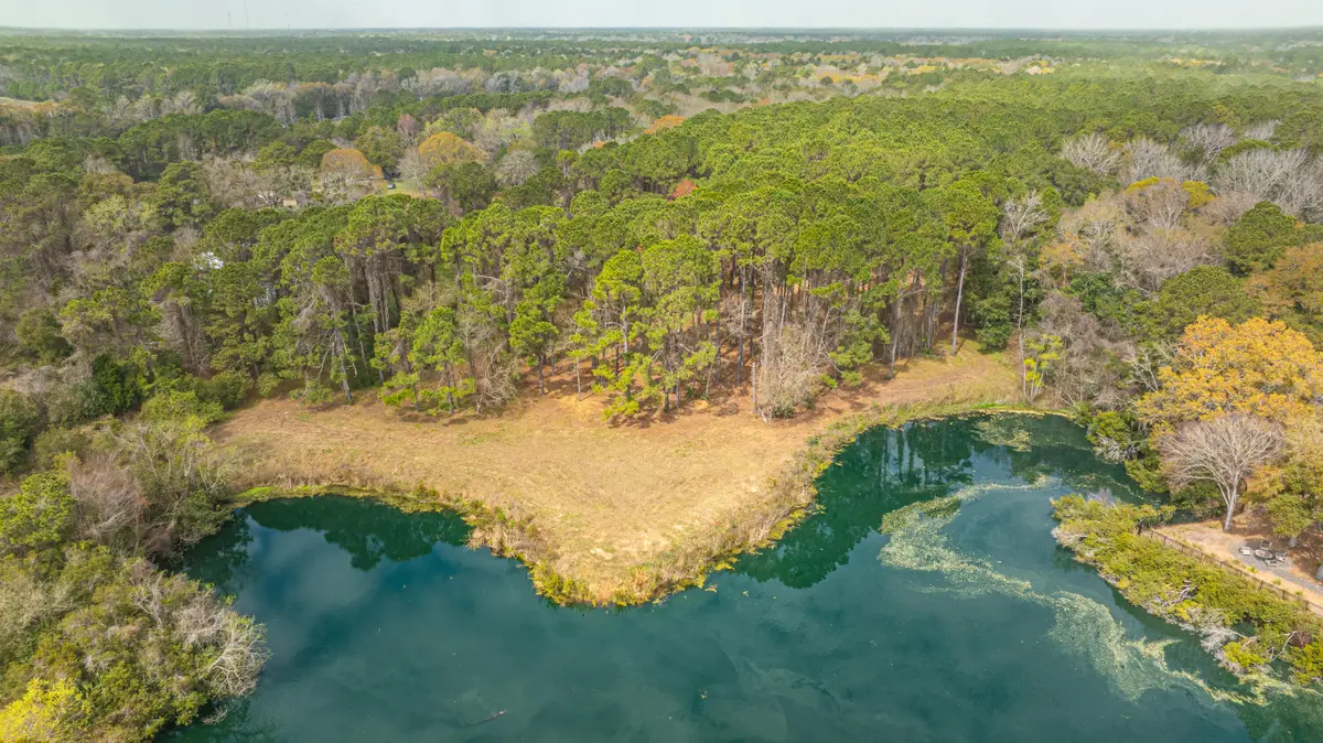 4297 Wild Turkey Way, Johns Island, SC 29455 - #1