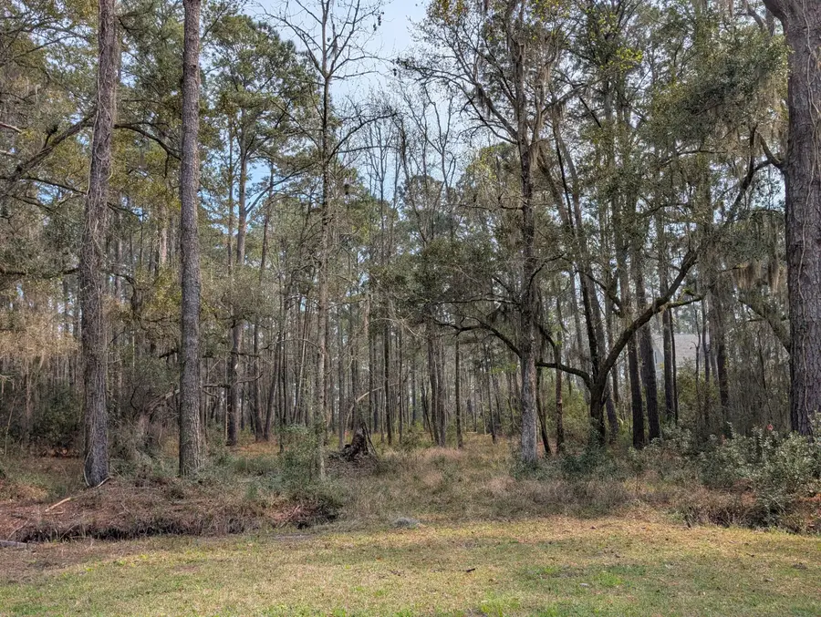 359 Mcclellan Avenue, McClellanville, SC 29458 - #3