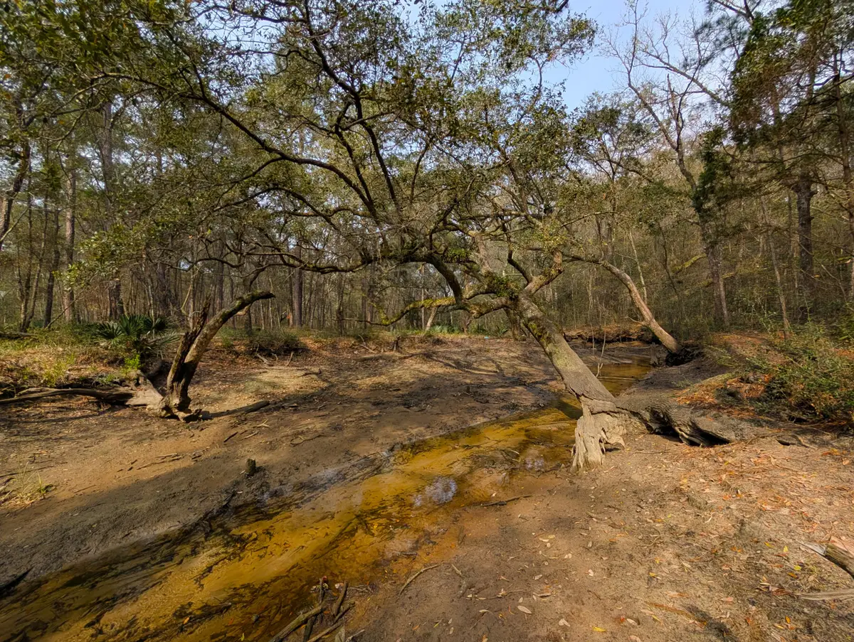 245 Warren Drive, McClellanville, SC 29458 - #1