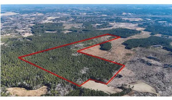 0 Gabes Place, Reevesville, SC 29471