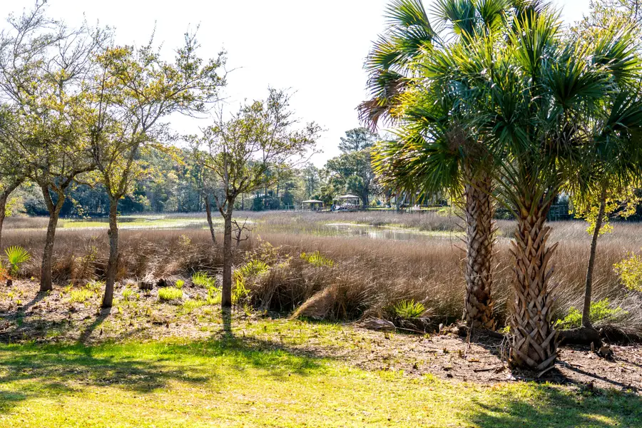 1476 Harbor Mist Court, Charleston, SC 29492 - #2